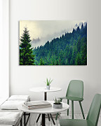 Obraz Slovenské lesy zs1053